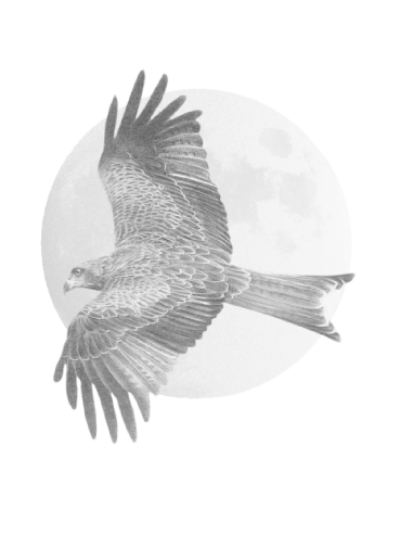 Dehesa de Luna Graciano