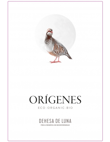 Orígenes Red Orígenes Red